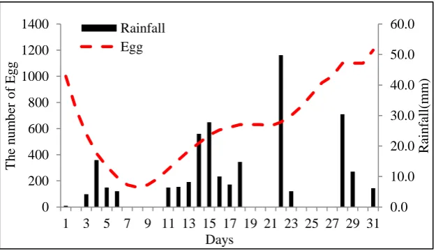 Figure 1: The Relationship of Egg Number and Rainfall Distribution on January 2016 