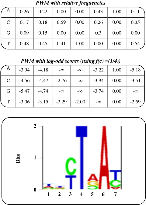 Fig. 2: Position weight matrix of vertebrate branch point  