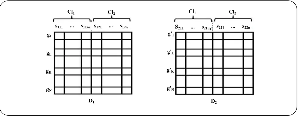 Fig 1: D1, D2 are two different gene expression datasets that have gathered for a specific field of study but  
