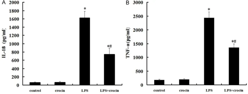 Figure 3. Effect of crocin on the concentrations of IL-1β and TNF-α in BALF of mice with ALI