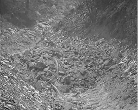 Fig. 3. Image taken from a ﬁlm of the second surge of a debris ﬂowevent (7 June 2002, 11:00 a.m.) in Kose˘c village