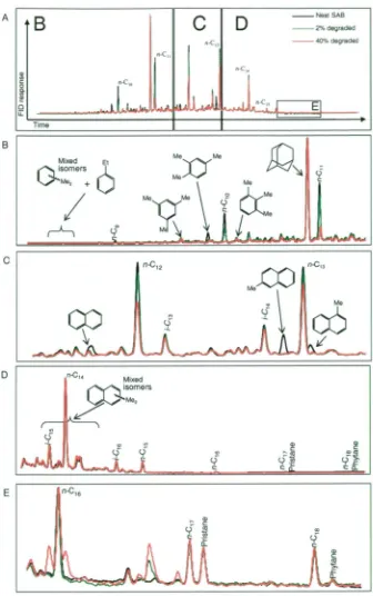 Figure 2.6 Gas chromatography traces of SAB with varying degrees of biodegradation in 