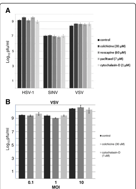 Figure 1 Effect of cytoskeletal drug treatments on virusreplication. A). BHK cells were infected for 1 hour at 35°C witheither Herpes Simplex virus-1 (HSV-1; multiplicity of infection (MOI) = 0.01plaque forming unit (pfu)/cell), Sindbis virus (SINV; MOI = 