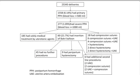 Fig. 1 Number of patients with various treatments for severe postpartum hemorrhage