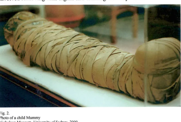 Fig. 2.Photo of