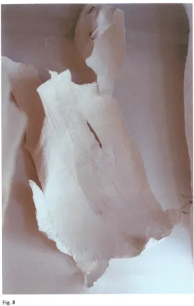 Fig. 8TRUDY