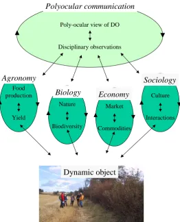 Figure 3:  The relationship between disciplines and multidisciplinary communication.  