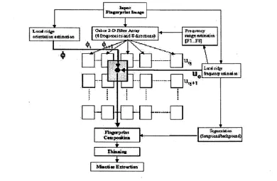 Figure 4.11: Steps involved in the proposed fingerprint image enhancement algorithm. 