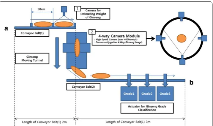 Fig. 1 Conceptual overview of the automatic ginseng sorting machine. camera for estimating a ginseng weight