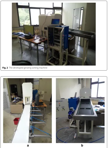 Fig. 3 The two conveyor belts in the automatic ginseng sorting machine: a ginseng inlet conveyor belt, b sorting conveyor belt