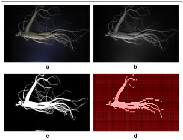 Fig. 7 Ginseng weight estimating algorithm procedure: ca original loaded image, b conversion to gray image,  image banalization, d block filtering