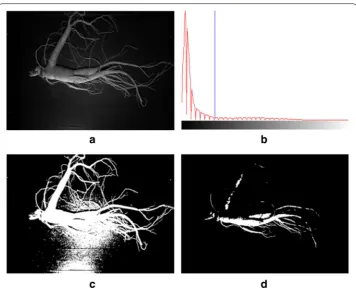 Fig. 8 Binarization result of the threshold setting change: old a gray image, b histogram, c binarization thresh‑= 30, d binarization threshold = 100