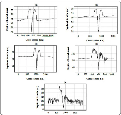 Fig. 3: Topography images of the scratch performed at N= 10 cycles, T=25 ms, V=140 nm/s and F= 3050 nN