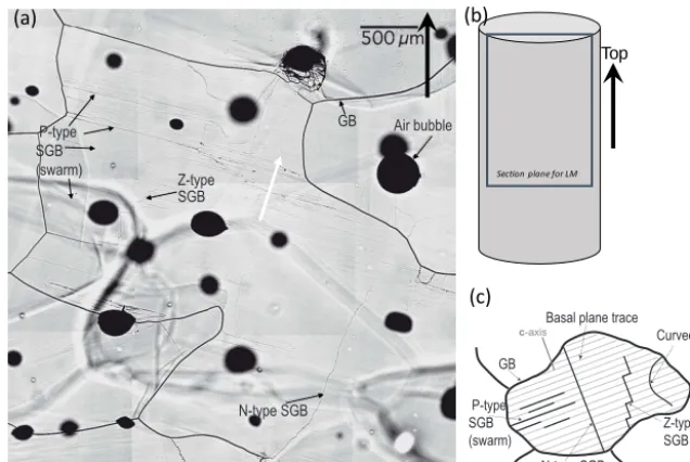 Figure 1. (a) Light microscopy (LM) image of the etched surface of EDML ice (depth 694 m)