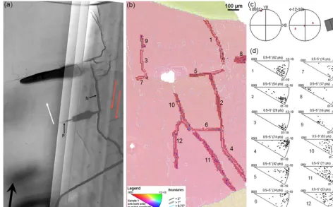 Figure 3. Microstructures used for the analysis of SGB types and slip systems: EDML sample (655.9 m of depth)