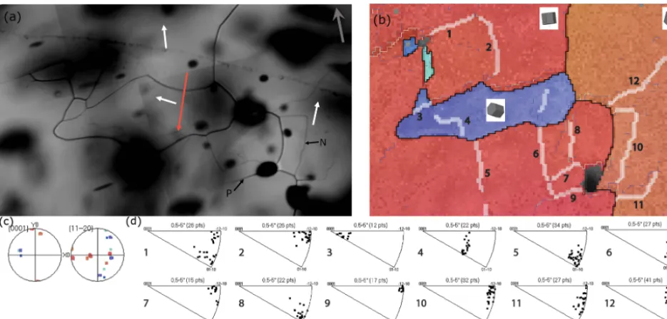 Figure 4. Microstructure analysis from NEEM sample.(d)SGBs. The vertical axis of the ice core is indicated by a dark grey arrow