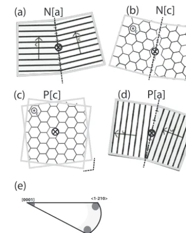 Figure 5. Schematic diagram showing some SGB types (modi-parallel to the c-axis inﬁed from Weikusat et al., 2010, 2011)
