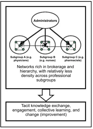 Figure 1 Effective communication network structure for learning and change in professional complex systems (eg, healthcare organizations).