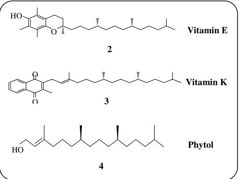 Fig. 1: The structures of Vitamin E, Vitamin K and Phytol. 