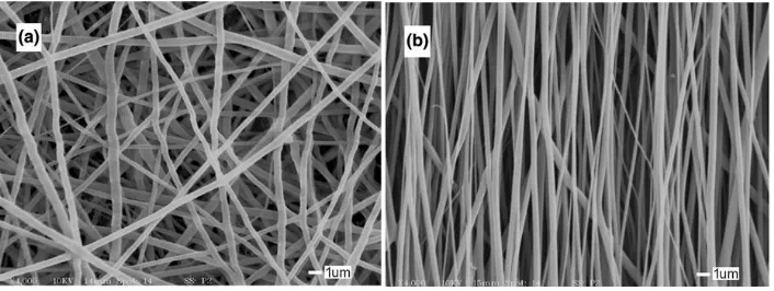 Figure 2.5 SEM micrographs of (a) random and (b) aligned fibers, electrospun from 9.0 wt % PLLA in HFIP solvent