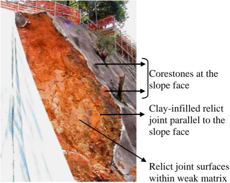 Fig. 1.  Development of a saprolitic proﬁle over volcanic (weldedash tuff) bedrock. 