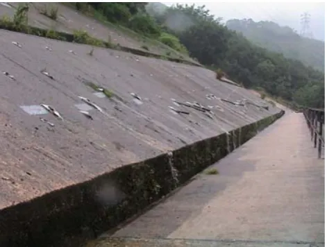 Fig. 8.izontal drains. Note the irregular ﬂows pattern (Tsing Tsui Estate,   A multiberm high slope with regular rows of raking and hor-HK).
