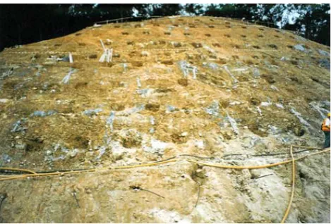 Fig. 9. Soil nails installed over a regular grid pattern of boreholesdrilled throughout a volcanic saprolite proﬁle.