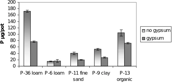 Figure 1. P-leaching from ½ kg soil columns treated with 0-6.3 g gypsum. Numbers represent ortho-P concentration in 1st leaching with 300 ml water