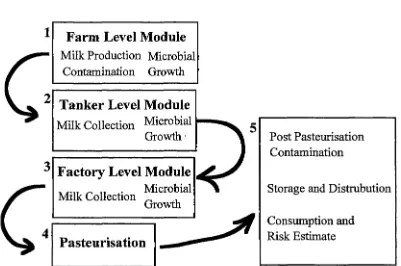 Fig 2.2 Overview complete; module 5 comprises the remaining three aspects will be conducted subsequently as apart of dairy risk assessment model structure