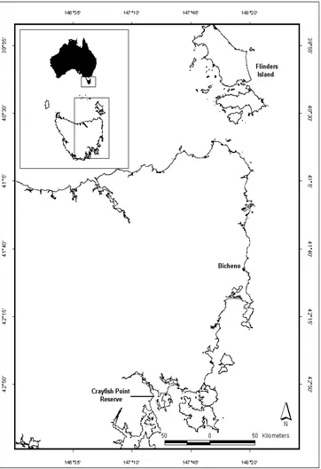 Fig. 3.1 Map of east coast of Tasmania showing the source of animals used in this study