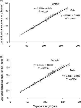 Fig. 3.4  The relationship between carapace length (mm) of male (n = 116) and female (n = 122) J
