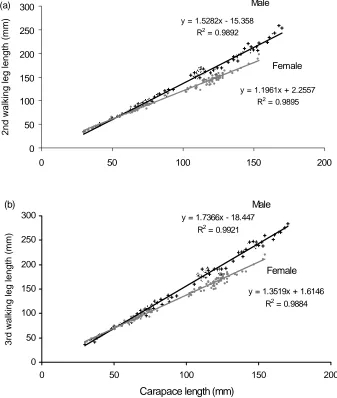 Fig. 3.6  The relationship between carapace length (mm) of male (n = 116) and female (n =J