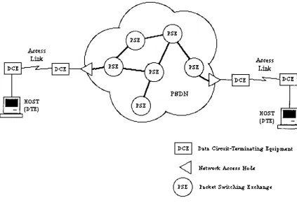 Figure 2.1 - Topology of a Packet Switching Data Network 