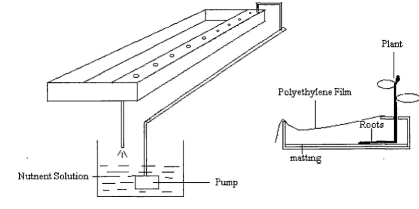 Figure 1. Schematic diagram of NFT hydroponic system 