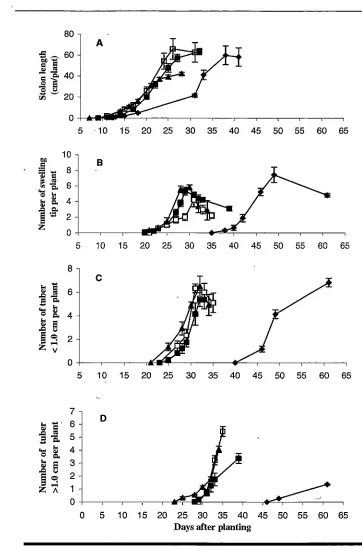 Figure 3. Changes with time of stolon length (A), swelling tip number 