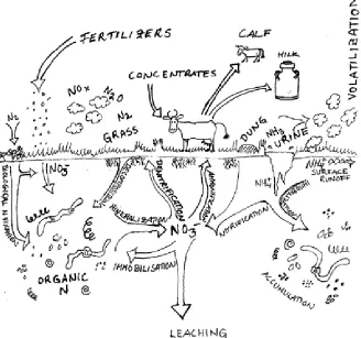 Figure 1. Pasture nitrogen cycle is complex as N can be in many different physi-cal and chemical forms.