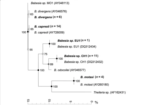 Figure 1 Neighborhood joining tree of partial Babesia 18S rRNA gene sequences. Sequences from wild ruminants from the presentstudy are highlighted in bold (number of identical sequences in brackets)