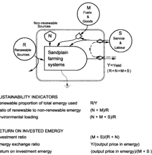Fig. I. Systems diagram illustrating the flow of energy and materials to and from a sandplain farming system expressed as flows of solar emergy per unit time where emergy is the cumulative measure of the energy used in the past to make a product or service, expressed 