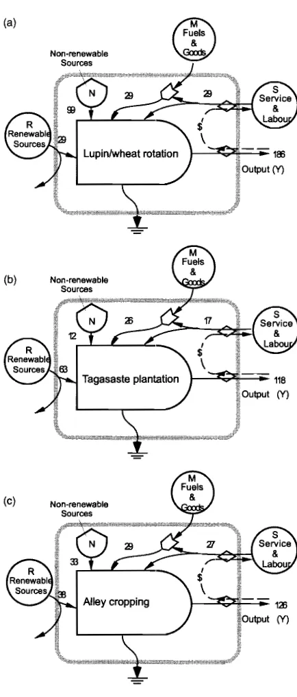 Fig. 2. Summary diagram of the emergy flows in the three cropping systems: (a) lupin/wheat rotation, (b) tagasaste plantation and (c) alley cropping