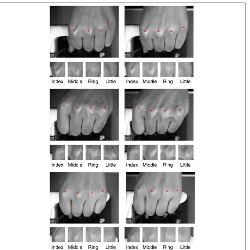 Fig. 6 Images in the database: Images in each row are captured from the same person, andrespectively