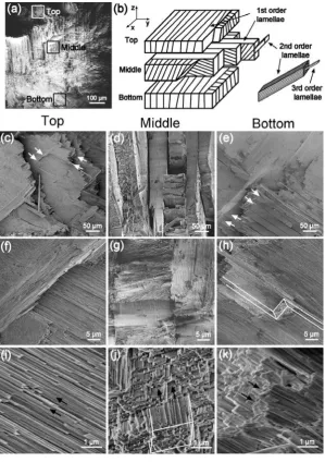 Figure 2.1. SEM images of fractured shell surface and schematic first-order lamellar interface is the preferential choice for illustrate the crack pathways along and perpendicular to magnification Schematic of hierarchical structure with identification of 