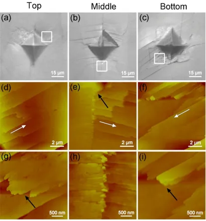 Figure 2.2. Optical and AFM images of the microindentation fractured conch surface. (a–c) Optical images of microindentation marks on the different layers of polished arrows show the orderly linear cracks along the second-order lamellar interfaces