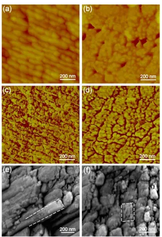 Figure 2.4. Nanostructure details of the conch shell. (a) and (b) AFM height images of cross and longitudinal sections