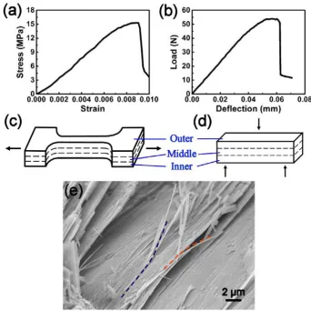 Figure 3.1. Inelastic deformation of conch shells. (a) A representative stress-strain curve upon tension with the loading direction showed in bended sample