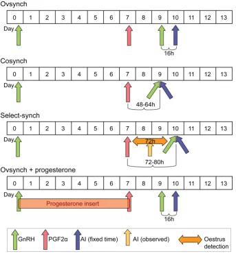 Figure 5.2 Variants of the GPG (Ovsynch) programme without presynchronisation. Based on DeJarnette (ND) and McDougall (2010)