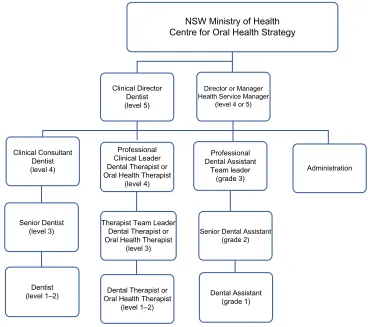 Figure 4 Professional clinical support structure for therapists, as outlined by clinical directors and health service managers in most local health districts.Abbreviation: nsW, new south Wales.