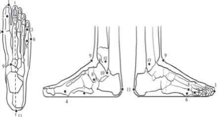 Figure 1. Reference landmarks.