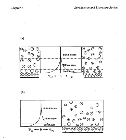 Figure 1.4 Electrical double layer created by (a) a mono-functional stationary phase 