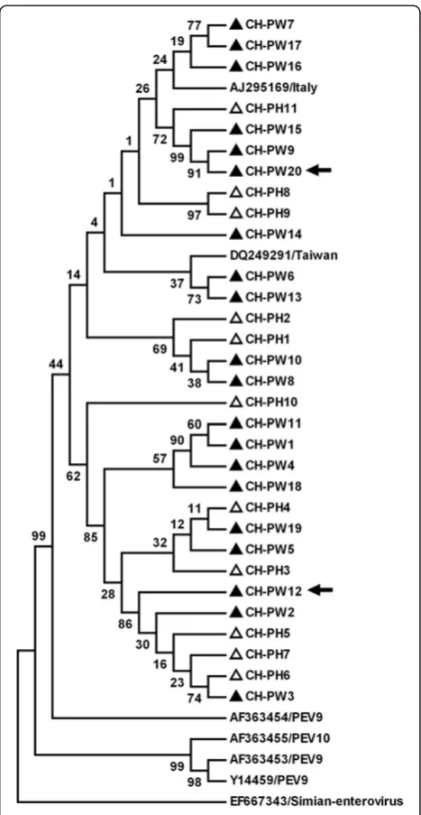 Figure 1 Phylogenetic tree constructed by alignment of the313 nt 50-UTR sequence using Mega 4 software