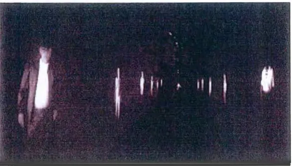 fig.26. monitors, projection lenses, Gary Hill, installation view ofT all Ships. 1992, video installation with madifled computer-cofllrol/ed laserdisc players and switching runner mats for interactive triggering